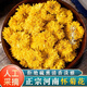 濱隴堂原料懷菊花正宗河南焦作溫縣懷黃菊花茶雁門云臺(tái)冰菊玲瓏正宗菊花 正宗懷菊【45克】實(shí)發(fā)一大罐