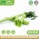 有機(jī)匯新鮮萵苣 萵筍 涼拌炒食 應(yīng)季自種新鮮蔬菜 產(chǎn)地直發(fā) 新鮮采摘 250g