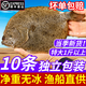 新鮮多寶魚鮮活冷凍鴉片魚比目魚海捕鰈魚偏口海魚菱平魚海鮮水產(chǎn) 約1-1.2斤/條 2條裝(超條發(fā)貨)