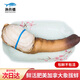 漁傳播 鮮活象拔蚌900-1000g/只 生鮮海鮮貝類 包鮮不包活七夕 源頭直發(fā)