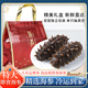 頤口福大連深海即食海參鮮食特級(jí)好海參國(guó)產(chǎn)遼刺參整箱抽真空高年限禮盒 5斤大頭即食海參（3-6頭/斤）