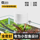 YEE智能WiFi喂食器魚缸錦鯉金魚喂魚神器投食器智能定時(shí)烏龜自動 【插電單喂食孔】wifi可控智能喂食器