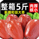 正宗新疆和田大棗新貨特大紅棗駿棗干老人孕婦果干零食煲湯熬粥棗 和田大棗5斤【一斤約55?！? title=
