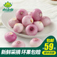 小湯山 迷你洋蔥 約250g 新鮮蔬菜安全可追溯北京農(nóng)場(chǎng)順豐到家