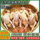 新鮮現(xiàn)殺乳鴿正宗農(nóng)家散養(yǎng)乳鴿土鴿新鮮現(xiàn)殺老鴿子肉煲湯新鮮營養(yǎng) 當(dāng)天現(xiàn)殺/每只保留（鴿心肝胗） (3年老鴿子3只)每只凈重7-9兩
