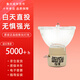 集大成（次日達 ）適配部分明基（BenQ）E系列/ED系列/MP系列/MS系列/MW系列/MX系列/TW系列/W系列投影機 【225瓦/原機款】原裝飛利浦燈泡
