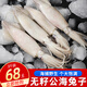海宏盈 海兔 1500g 海兔子新鮮筆管魚青島海鮮生鮮火鍋燒烤食材