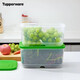 特百惠（Tupperware）保鮮盒 新慧眼冷藏保鮮盒 大容量可調節蔬菜水果保鮮儲藏密封盒 4.4升兩件套
