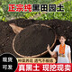 田園土養(yǎng)花種菜專用通用家用純正營養(yǎng)土直銷泥土種植土壤 【豐富腐殖質(zhì)】5斤純正黑色田園有機土