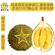 封榴榜正宗D197貓山王榴蓮  馬來(lái)西亞進(jìn)口凍榴蓮 新果已到 保售后 保5房6.9-7.4斤/個(gè)【頂級稀有】