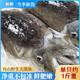 新鮮大墨魚(yú)鮮活冷凍墨魚(yú)仔大生鮮水產(chǎn)海鮮烏賊目魚(yú)整只舟山特產(chǎn) 大號墨魚(yú)1只裝  500g(凈重)