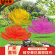 匯奇尚品不銹鋼鏤空花朵植物雕塑戶外園林景觀裝飾小區(qū)廣場美陳荷花大擺件 來圖定制.