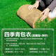 春枝韻草籽護(hù)坡固土四季常青黑麥草籽邊坡綠化草坪種子免修剪狗牙根種籽 混播四季青1斤【常青護(hù)坡】