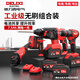 德力西電氣（DELIXI ELECTRIC）無刷充電鋰電式電錘角磨機(jī)電鉆套裝工業(yè)級(jí)三用沖擊鉆電錘電鎬