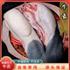 智田喜青藏牦牛肉 高原草飼牦牛吊龍牛里脊牛腱子牛肋條火鍋燒烤食材 牛舌 4斤