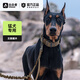 出眾者 狗項圈大型犬牽引繩中型犬狗繩項圈德牧拉布拉多頸圈狗鏈脖圈 狼棕色（項圈） L（建議體重60-85斤）