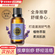 世丹迷迭香精油身體按摩精油滋潤肌膚臉部美容院刮痧疏通經絡植物精油 迷迭香精油1瓶 30ml