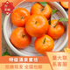 好壯麗爆甜桔子新鮮現(xiàn)摘桔子農(nóng)家自產(chǎn)水果當(dāng)季柑橘無(wú)核孕婦兒童水果文旦 涌泉蜜橘
