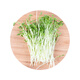 【嫩苗菜】 豌豆苗200g