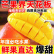 新鮮現(xiàn)摘海南貴妃芒果整箱水果應(yīng)當(dāng)季熱帶紅金龍非臺(tái)農(nóng)甜心 嘗鮮小果 帶箱1斤
