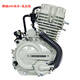 宗申三輪車(chē)發(fā)動(dòng)機150 175 200 250 300 350水冷重載發(fā)動(dòng)機頭全新 江蘇捍威200水冷