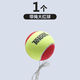 天龍（Teloon）網(wǎng)球訓練器套裝單人帶線(xiàn)皮筋球彈力繩回彈球 兒童網(wǎng)球(帶繩)大紅球(三個(gè)散裝)