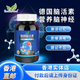 Excellent-Med德國強力腦活素腦力素中老年癡呆補腦增強記憶力小腦萎縮銀杏葉片 德國強力腦活素（150粒）2瓶