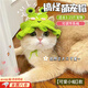 曇蓓漫貓咪帽子可愛(ài)搞怪貓帽子寵物配飾拍照道具小狗狗裝扮貓咪可愛(ài)卡通 【可愛(ài)小蛙】搞怪萌寵帽 F碼-均碼 適用于3-15斤寵物 可調(diào)節(jié)系繩款/拍照上鏡超可愛(ài)