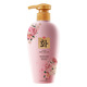 韓芬蓬松香氛洗發(fā)露持久留香洗發(fā)液 一瓶 500mL