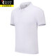 啄木鳥(niǎo)定制短袖T恤廣告衣服企業(yè)文化衫polo工作翻領(lǐng)設(shè)計(jì)印字刺繡團(tuán)體服 JD2001/019白色 XL