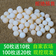 農家新鮮甲魚(yú)蛋120枚食用原生水魚(yú)土鱉團魚(yú)蛋自養王八蛋寶寶輔食 3g 1人份 甲魚(yú)蛋100枚裝（送二十枚防破損）