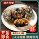 【順豐】醉蟹大閘蟹全母即食生腌螃蟹鹵河蟹醬毛蟹寧波嗆蟹咸熗蟹 2個(gè) 全母大閘蟹2-2.5兩/只