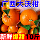 黃六爺正宗廣西沃柑10斤新鮮橘子水果武砂糖皇帝橘柑桔子鳴當(dāng)季整箱沃柑 5斤 大果【新鮮超甜現(xiàn)摘】