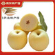 遼唯贊王林蘋(píng)果 精品大果5斤裝果徑80mm+ 東戴河生鮮脆甜水果產(chǎn)地直發(fā) 精品5斤裝9-12枚(果徑80mm以上) 5斤裝