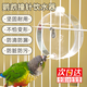 智宙寵物鸚鵡撞針飲水器自動喂水器水壺玄風鳥類食盒喂食喝水器防賤撒 元寶撞針水壺-250ml
