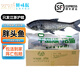 IGIFTFIRE正宗千島湖胖頭魚活魚現(xiàn)殺生態(tài)大頭魚花鰱鳙 活魚【只發(fā)江浙滬皖】 5斤整條【順豐】