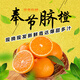 橙都壹號(hào)橙都壹號(hào) 重慶奉節(jié)臍橙 新鮮應(yīng)季水果橙子鮮摘鮮發(fā) 源頭直發(fā)包郵 凈重9斤-單果75-85mm
