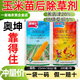 靠得住玉米專(zhuān)用除草劑玉米苗后除草除草劑煙嘧磺隆包谷包谷田苗苗靠得住 奧坤靠得住兩連袋*1套