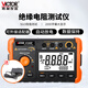 勝利儀器（VICTOR）絕緣電阻測試儀數(shù)字兆歐表500V電子搖表絕緣表VC60B+配電源適配器
