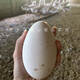 潮汕特大鵝蛋250-320克農家孕婦新鮮正宗散養獅頭鵝雙黃鵝蛋包郵 8顆裝（單粒250-320克之間）