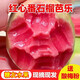 糖尿人可以吃的零食品紅心芭樂(lè )果水果三高血糖兒童孕婦糖友控糖 5斤