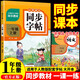 小學(xué)語文同步字帖  一年級(jí)上冊(cè) 同步課本練字帖專項(xiàng)訓(xùn)練書寫字帖控筆訓(xùn)練 適用人教版教材配套使用 小學(xué)生規(guī)范字字體每日一練