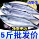 青島大鲅魚新鮮冷凍無冰馬鮫魚燕鲅魚海鮮水產海魚生鮮5斤順豐 5斤【5-6條】8兩-1斤/條