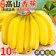 左格（ZUOGE）云南高山大香蕉10斤裝 香甜軟糯青蕉香蕉當(dāng)季新鮮現(xiàn)砍水果整箱 精選帶箱 9斤 青蕉發(fā)貨