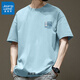 真維斯短袖t恤男夏季純棉體恤青少年寬松時(shí)尚男士衣服休閑半袖GW 淺藍#山與花 3XL