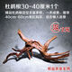 天然杜鵑根棲根紫柚木沉木魚(yú)缸水草缸樹(shù)枝樹(shù)根造景沉木一木成景 精品隨機30-40厘米1個(gè)