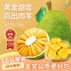 愛鮮摘農(nóng)場 金獎·菠蘿蜜越南進口【JD直發(fā)】多地次日達水果一整個裝果切 臻選果王【25-30斤】單果裝 S+級果【50年老樹果王】甜到爆表