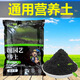 京悠雨德國品質(zhì)【48小時(shí)發(fā)貨】通用型營(yíng)養土家庭種菜養花專(zhuān)用肥料土壤疏 精品種花養花營(yíng)養土兩斤1袋