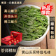 黃山明前毛峰特級高山云霧頭采珍稀綠茶2025新茶春茶送長(cháng)輩禮盒裝 私房茶6罐裝禮盒(紅色金蓋)