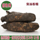 湖北新鮮粉藕【加冰順豐發(fā)貨】洪湖粉藕蓮藕煲湯易粉易爛 現(xiàn)挖5斤